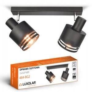 Lampa Sufitowa Żyrandol Plafon FLESZ Reflektor 484-BG2 E27 Ruchome Klosze